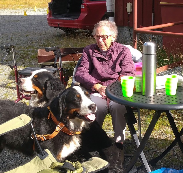 Klicka för att se förhandsgranska