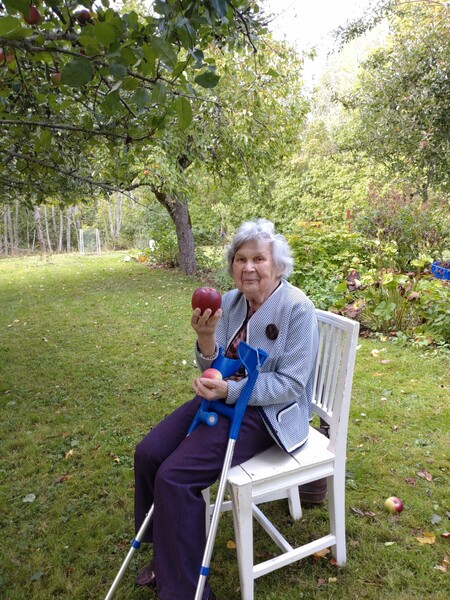 Klicka för att se förhandsgranska