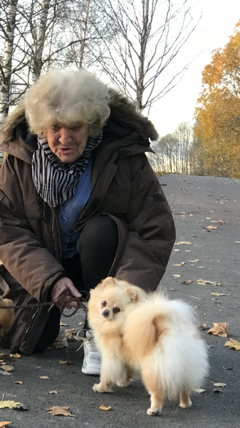 Klikk for å se forhåndsvisning