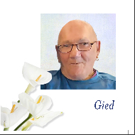 Gied Pals