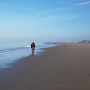 Marco van der Wielen