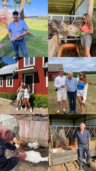 Klicka för att se förhandsgranska