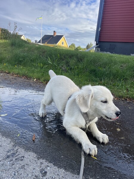 Klicka för att se förhandsgranska