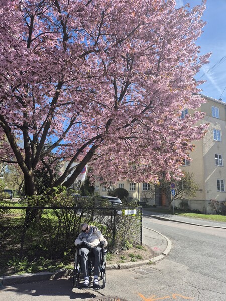 Klikk for å se forhåndsvisning