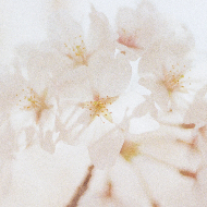 Anna Karine Hofland