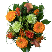 Bente Holand Berg