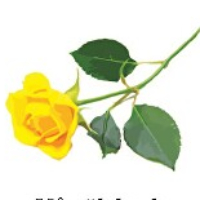 Information