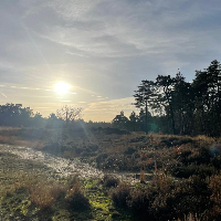 Jac Bruijs