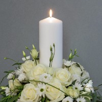 Anita Brandal Moldskred