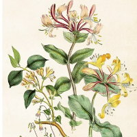 Information