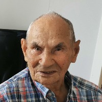 Alf Leodor Johannes Pedersen