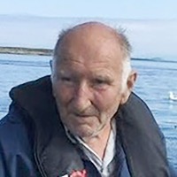 Terje Lillestøl
