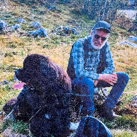 Arne Klemmetsrud