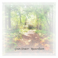 Greet Straver-Roozeboom