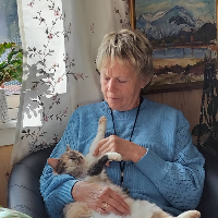 Anna Jorunn Skogstad
