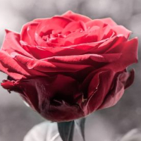 Grethe Marie Buen
