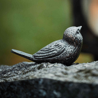 Tordis Mollatveit