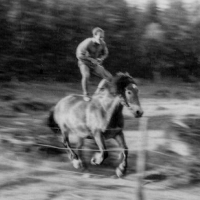 Nils Johansson