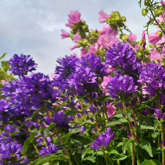 Arne Tangen