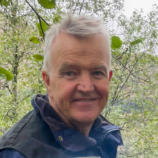 Arne Johan Gjerde