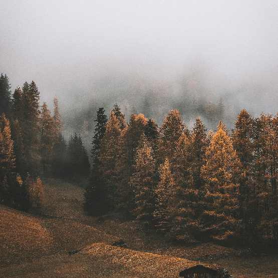 Tor Maurdal