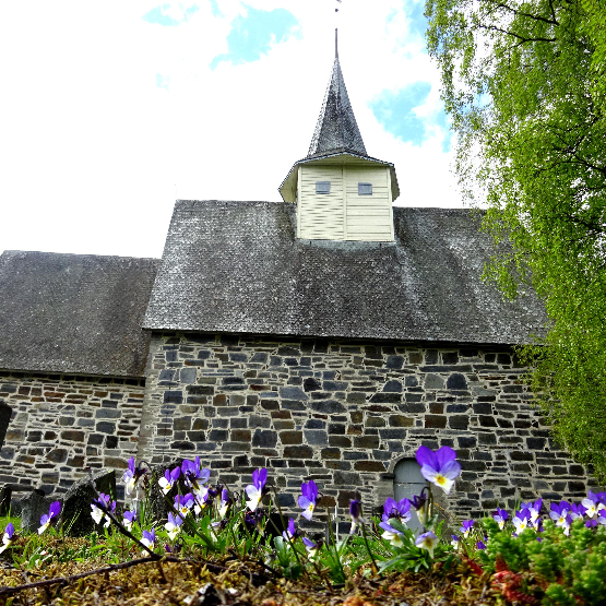 Ola K. Haugrud