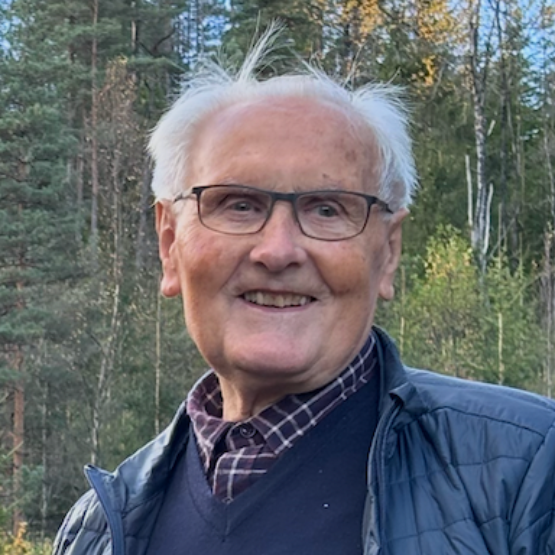 Ottar Jan Vigdel