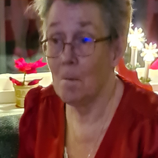 Sylvi Iren Røgh Lindvall