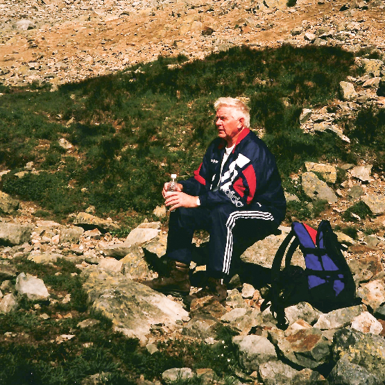 Dagfinn Berent Kjøllesdal