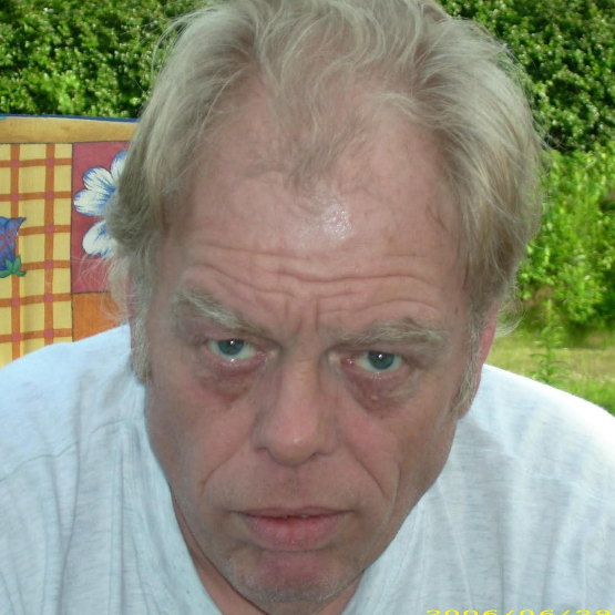 Dag Olav Borgeteien