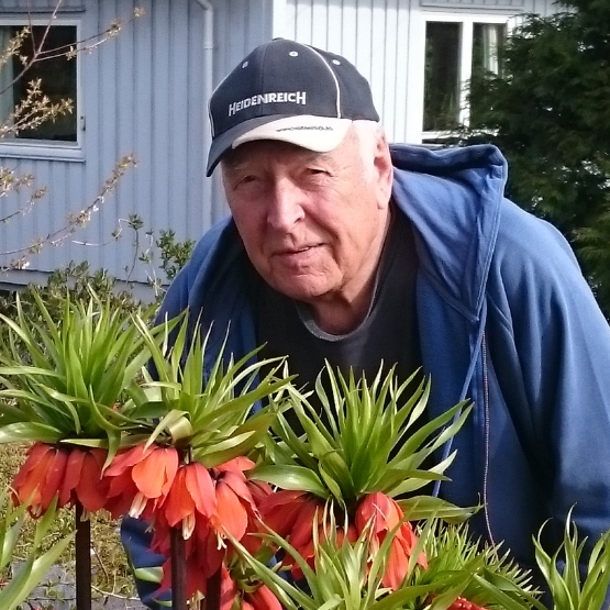 Alv Fjellestad