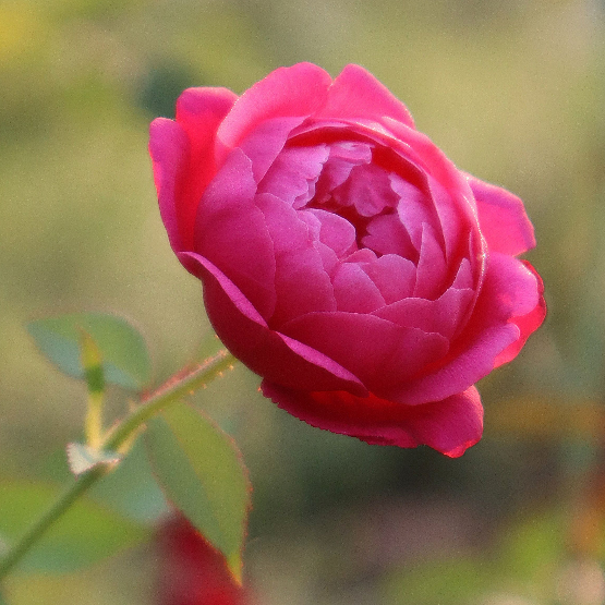 Ulla-Karin Myhré