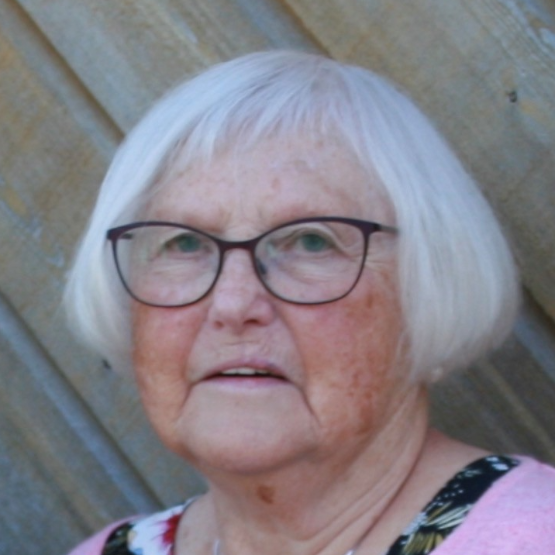 Karin Svartis