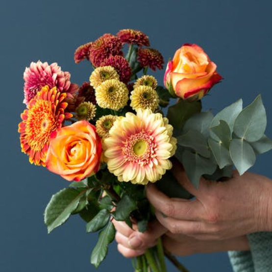 Janneke Sidsel Sander