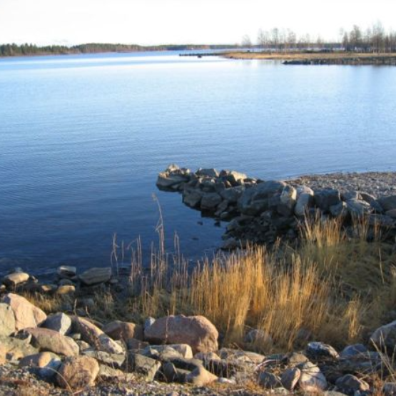 Siv Norén