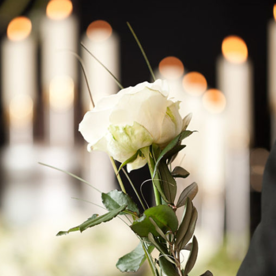 Torunn Birkeland Wist