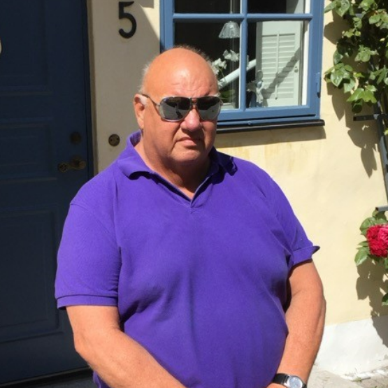 Björn Palmedal