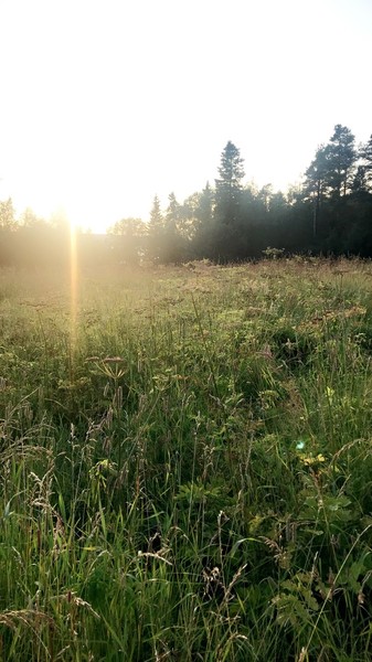 Klicka för att se förhandsgranska